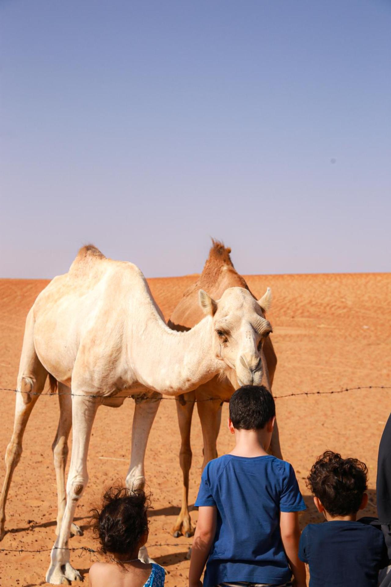 Wahiba Bedouin Rustic Camp